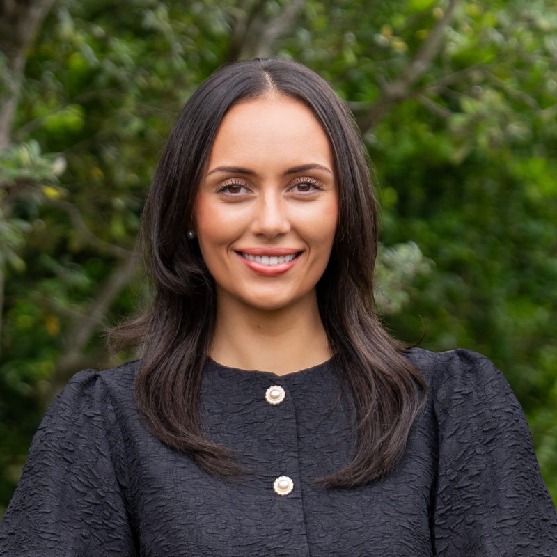 Ani Hirini