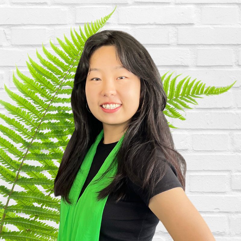 Iris Zhao Real Estate Agent Trade Me Property