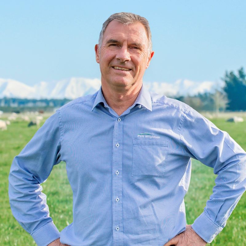 Kevin Rowe Real Estate Agent Trade Me Property