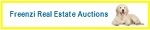 Freenzi Real Estate Auctions