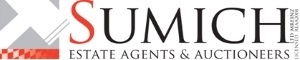 Agent Logo