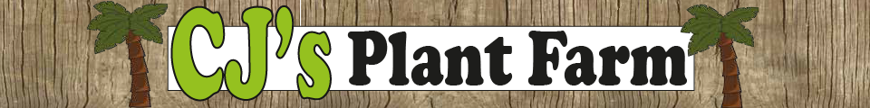 CJ's Plant Farm