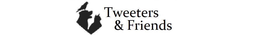 Tweeters and Friends