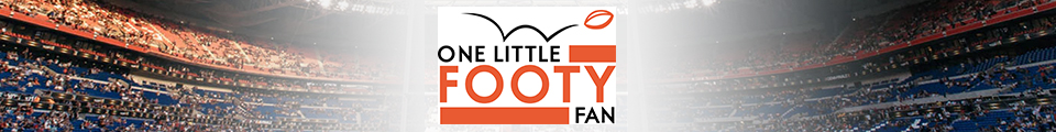 One Little Footy Fan