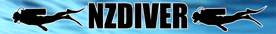 NZ Diver