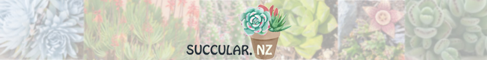 Succular