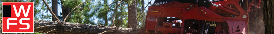 Waratah Forestry Services
