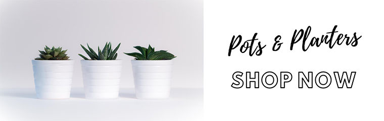 Pots and Planters