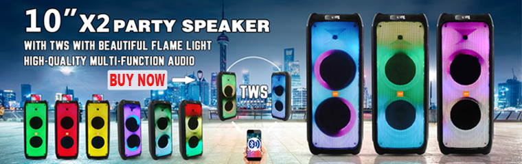 10 x 2 party speaker