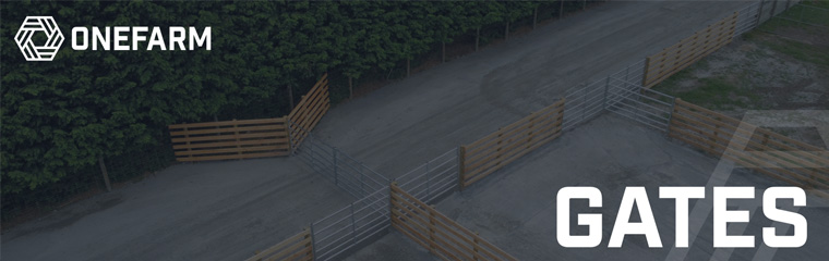 Gates Promo 3