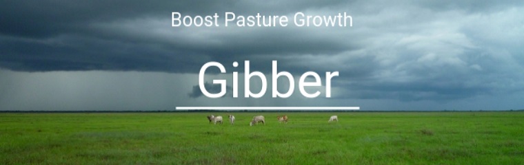 Boost Pasture Growth